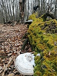 IMG_20220129_112107