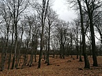 IMG_20220129_113451