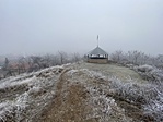 IMG_3867