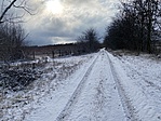 IMG_3998