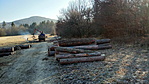 IMG_20220112_121400_5