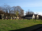 DSC05528