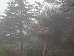 DSC05644