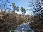 DSC05711