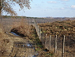 DSC05713