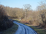 DSC05716
