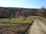 DSC05718