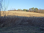 DSC05721