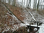 IMG_20220126_091624
