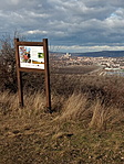 IMG_20220103_131127