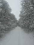 IMG_20220122_103704