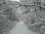 IMG_20220122_105504
