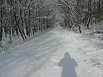 IMG_20220122_110506