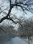 IMG_20220122_111241
