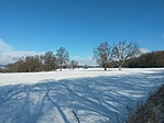 IMG_20220122_112917