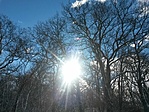 IMG_20220122_112953