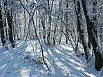 IMG_20220122_115915