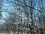 IMG_20220122_121106