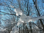 IMG_20220122_121016