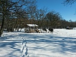 IMG_20220122_123146