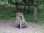 IMG_2573
