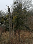 IMG_20220129_133917