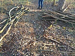 IMG_20220210_151356