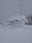 IMG_20220227_145427