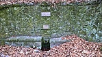 WP_20220225_15_44_52_Pro