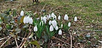IMG_20220219_122458