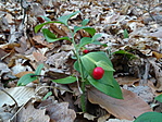 DSC05861