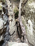 IMG_20220218_094048361