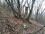 IMG_20220129_132843