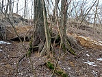 IMG_20220129_123136