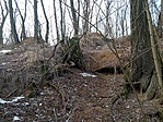 IMG_20220129_123138