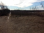 IMG_20220129_123408