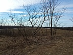 IMG_20220129_123412