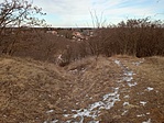 IMG_20220129_123427