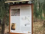 Öreg-köves-víznyelőbarlangnál