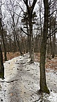 IMG_2670