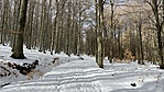 IMG_2678