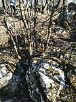 IMG_20220205_150111