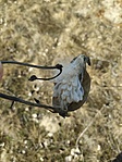 IMG_20220212_132242