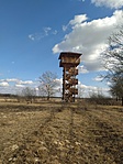 IMG_20220212_132350
