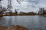 _DSC4711