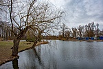 _DSC4719