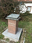 IMG_20220209_134239