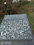 IMG_20220209_134244