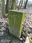 IMG_20220211_085520