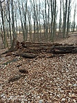 IMG_20220211_085208